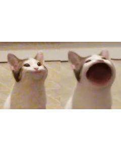 0000-simple-pr-test 1