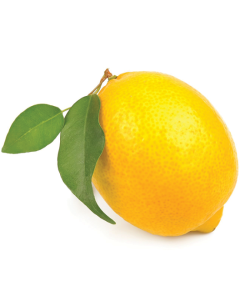 Dev Magento Refund 2